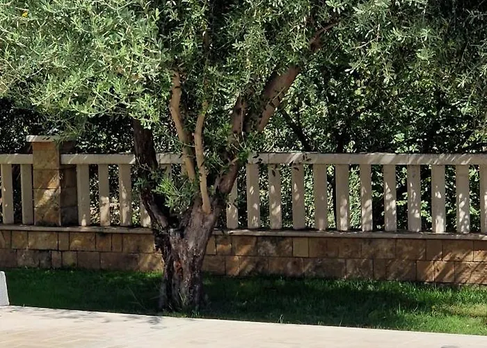 Zvonimir Holiday With Large 95M2 Pool