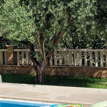 Zvonimir With Large 95m2 Pool